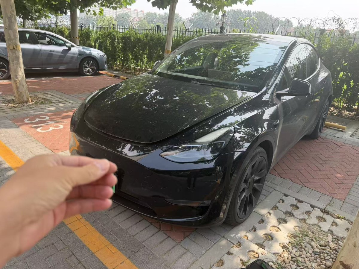 Tesla Model Y 2021 car image 