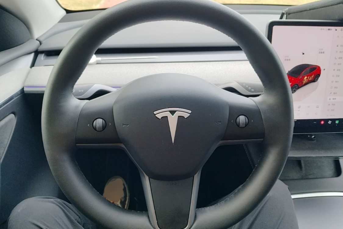 Tesla Model Y 2024 car image #11