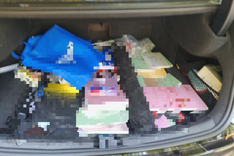 BYD Han 2023 car image #21