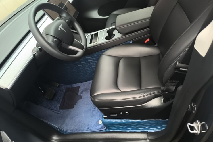 Tesla Model Y 2024 car image #15