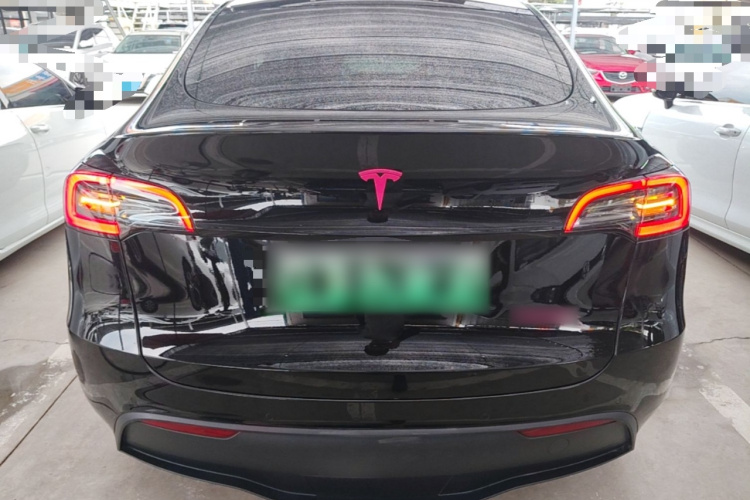 Tesla Model Y 2023 car image #6