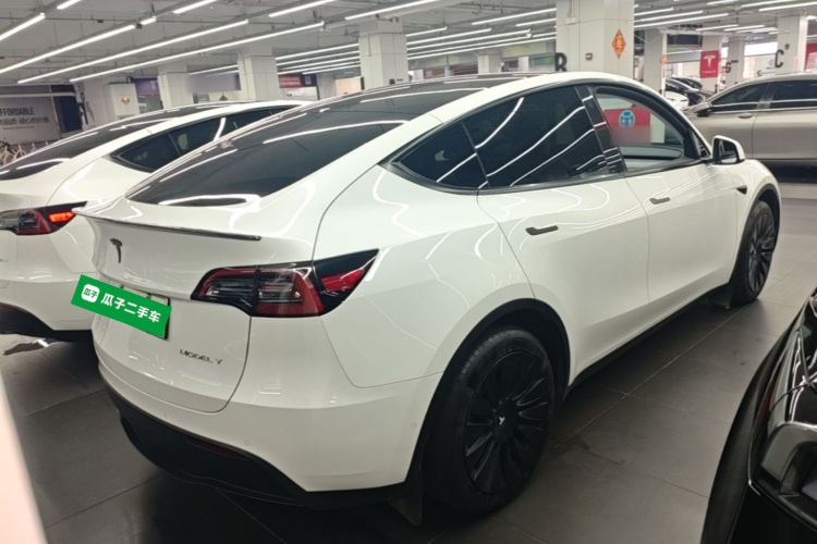 Tesla Model Y 2023 car image #7