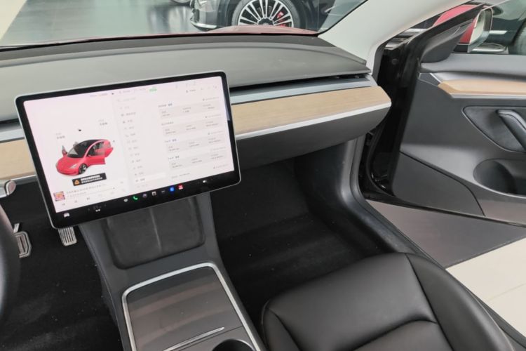 Tesla Model 3 2021 car image #13