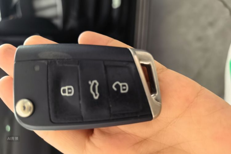 Volkswagen Tharu 2019 car image #11