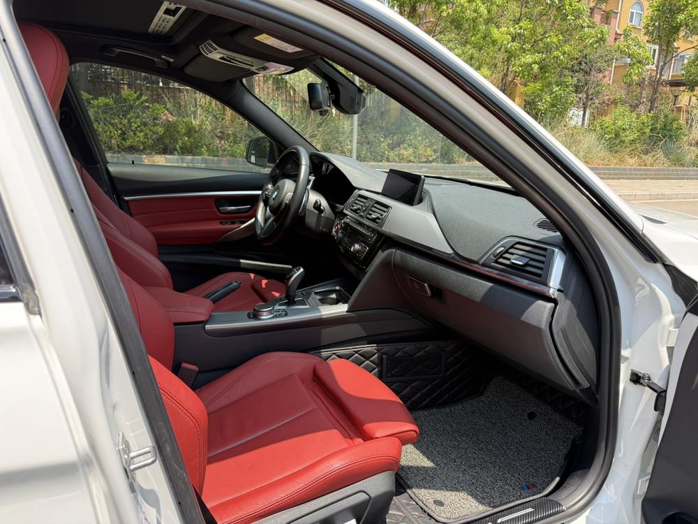 BMW 3 Series 2019 car image #10