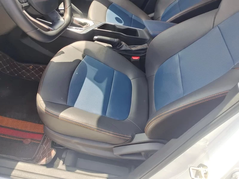 Livan X3 PRO 2024 car image #11
