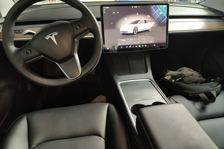 Tesla Model 3 2022 car image #10