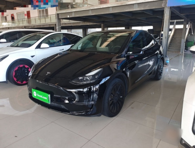 Tesla Model Y 2022 car image 