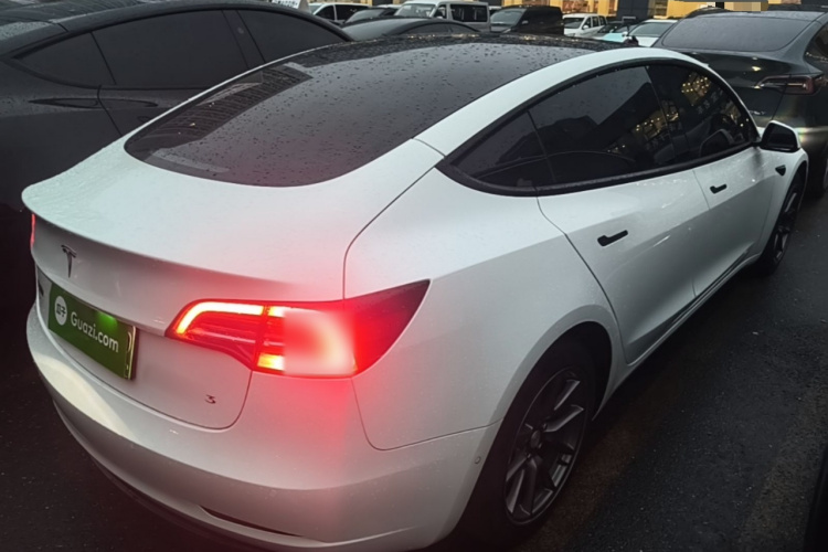 Tesla Model 3 2023 car image #5