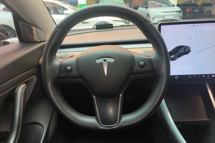 Tesla Model 3 2020 immagine di auto #11