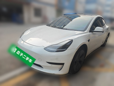 Tesla Model 3 2021 Tesla Model 3 2021 car image
