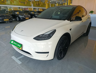 Tesla Model Y 2023 Tesla Model Y 2023 car image