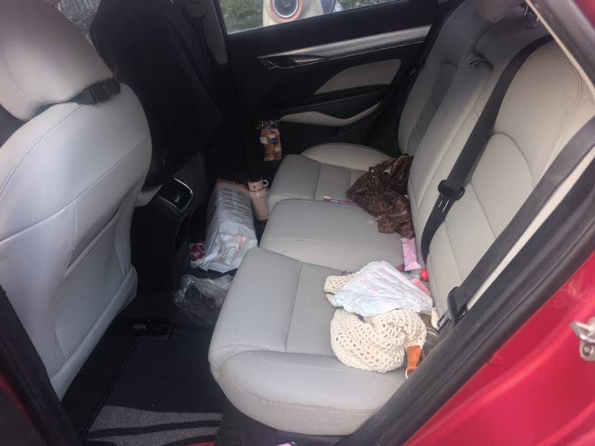 GEELY Binray 2019 imagen de coche #6