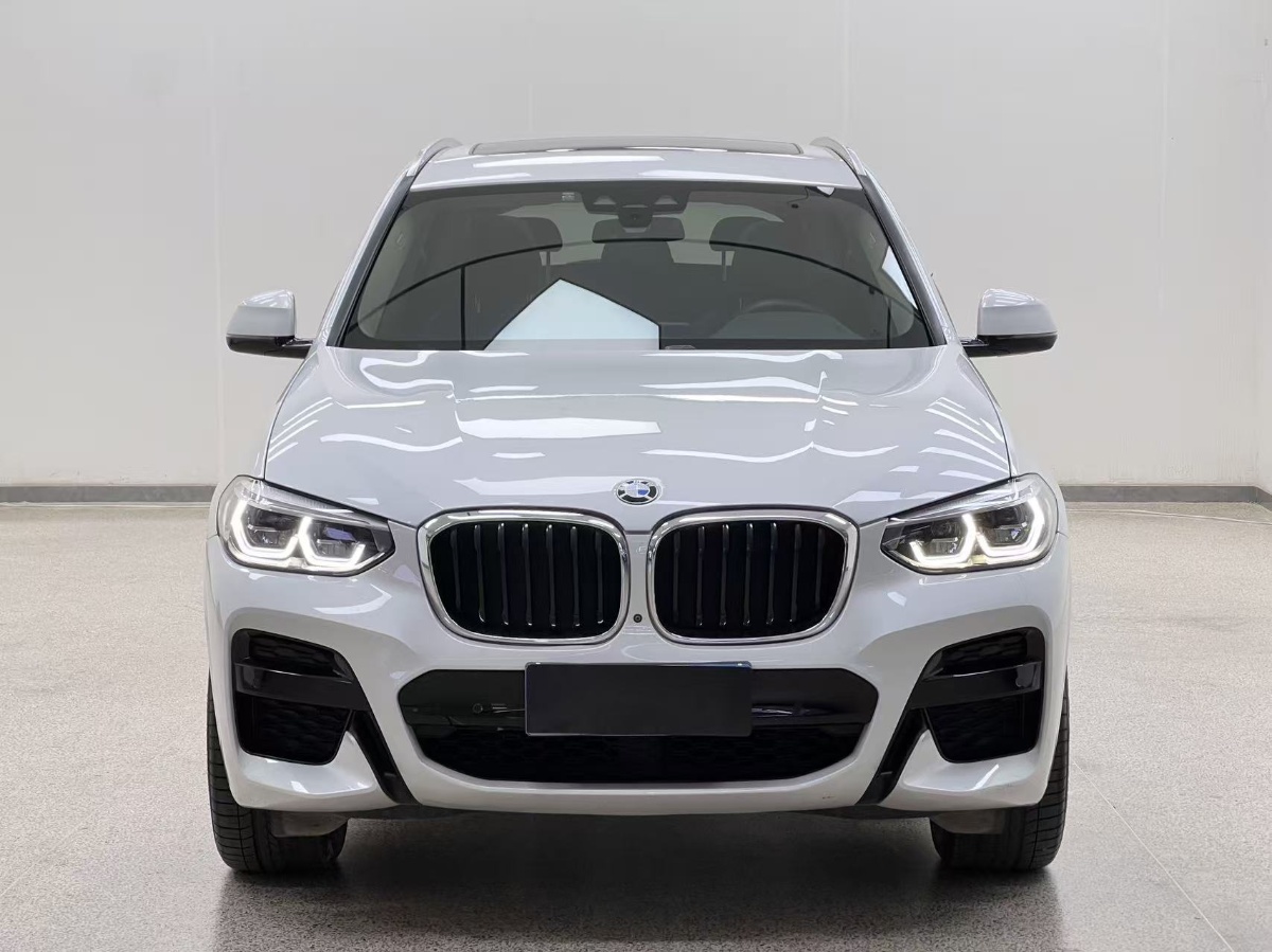 BMW X3 2019 car image #2