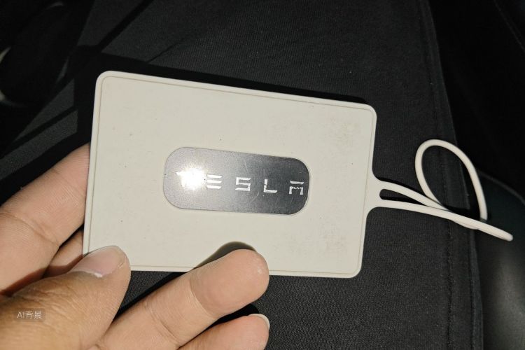 Tesla Model 3 2021 #10 Tesla Model 3 2021 car image #10