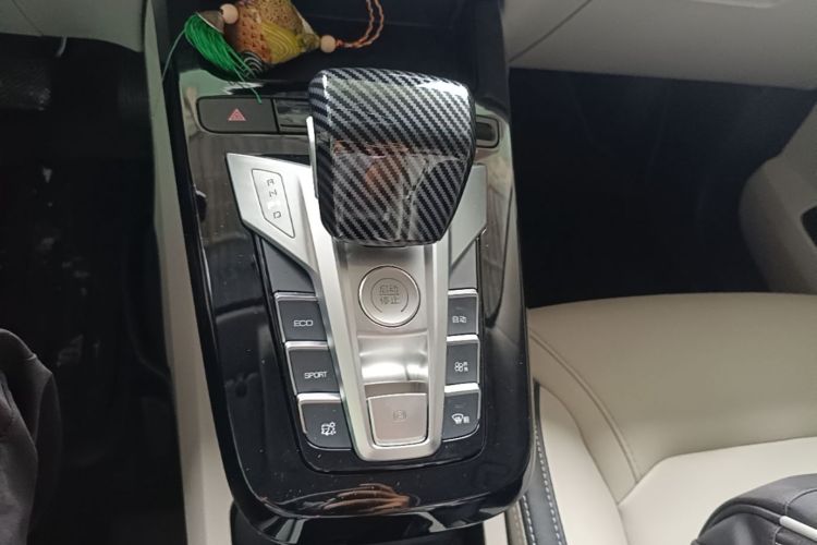 BYD Yuan Pro 2021 car image #14
