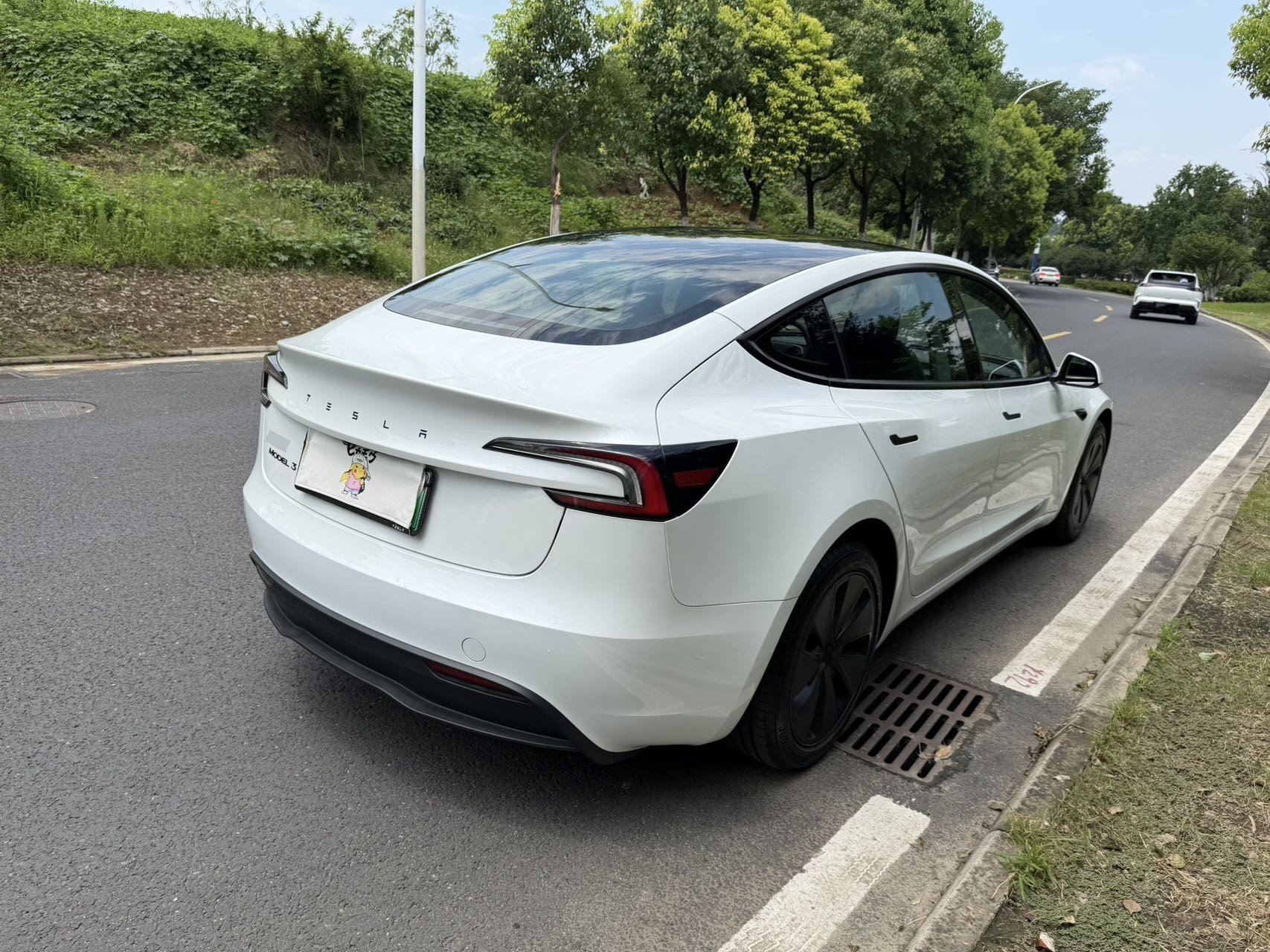 Tesla Model 3 2026 #9 Tesla Model 3 2026 immagine di auto #9