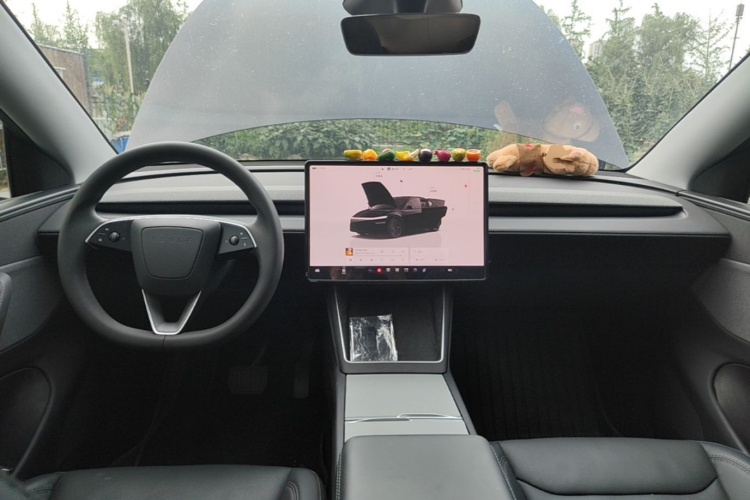 Tesla Model Y 2025 #11 Tesla Model Y 2025 car image #11