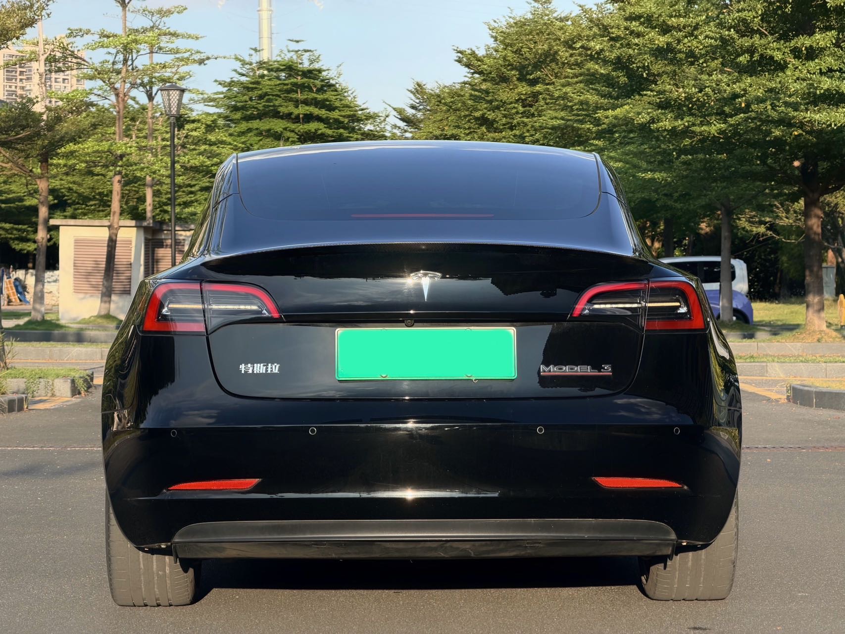 Tesla Model 3 2021 car image #3