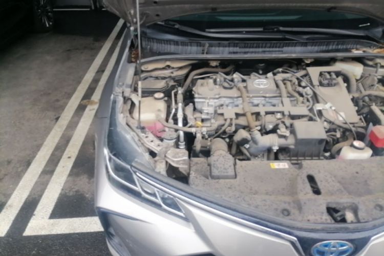 Toyota Corolla 2021 car image #23