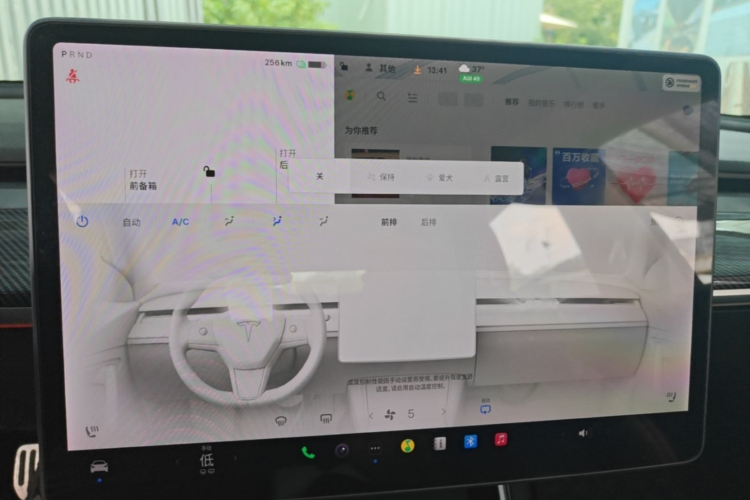 Tesla Model 3 2020 #13 Tesla Model 3 2020 car image #13