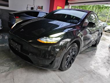 Tesla Model Y 2022 Tesla Model Y 2022 car image