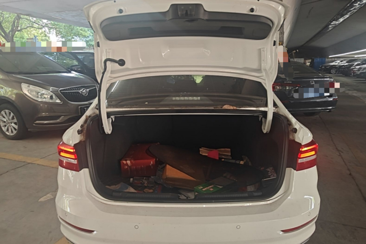 Volkswagen Lavida 2020 car image #19