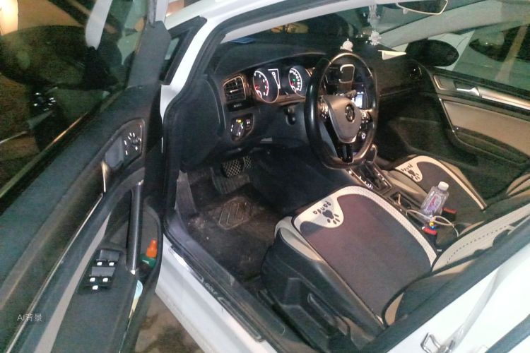 Volkswagen Golf 2017 car image #18