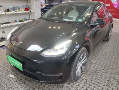 Tesla Model Y 2021 car image 