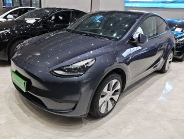 Tesla Model Y 2022 Tesla Model Y 2022 car image