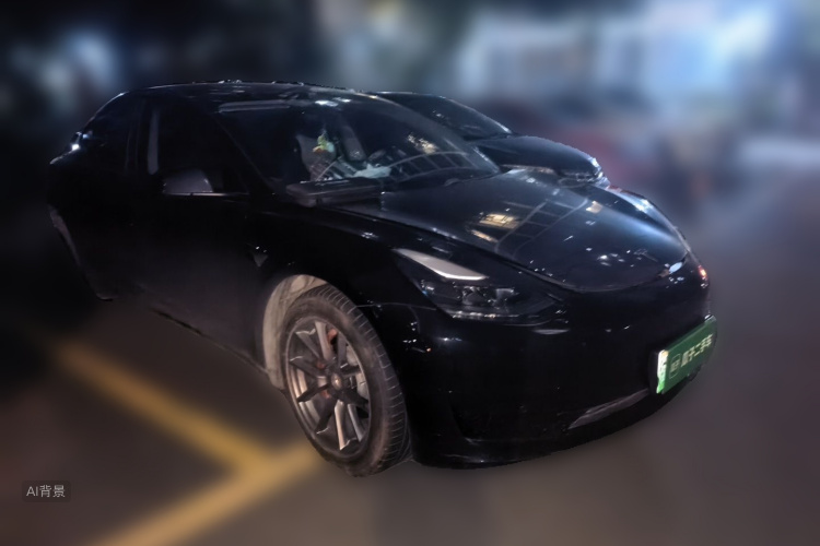 Tesla Model 3 2021 immagine di auto #4