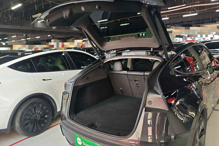 Tesla Model Y 2025 #19 Tesla Model Y 2025 car image #19