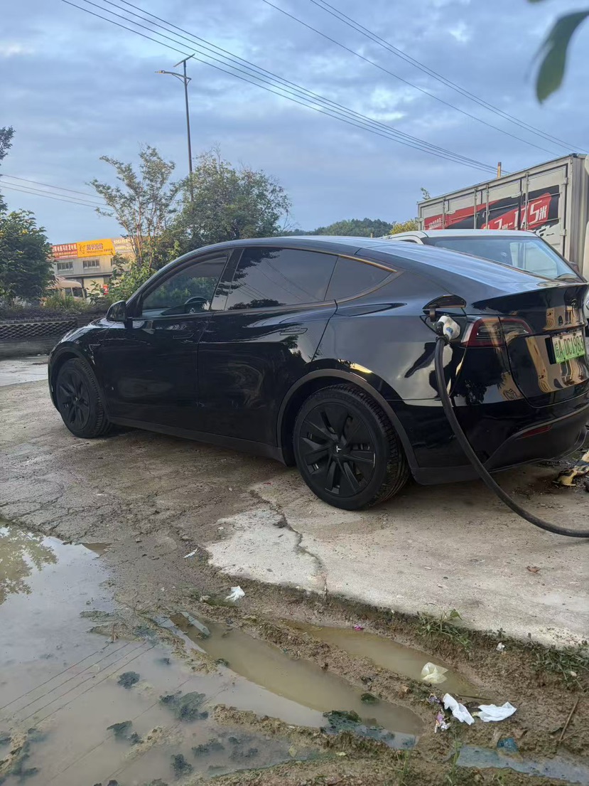 Tesla Model Y 2021 car image #6