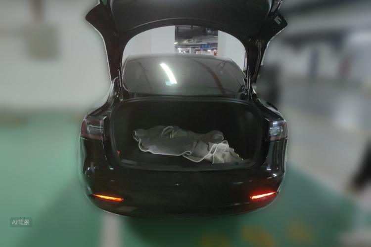 Tesla Model 3 2020 #21 Tesla Model 3 2020 car image #21