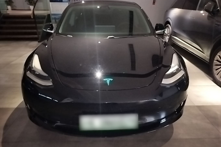 Tesla Model 3 2020 #3 Tesla Model 3 2020 car image #3