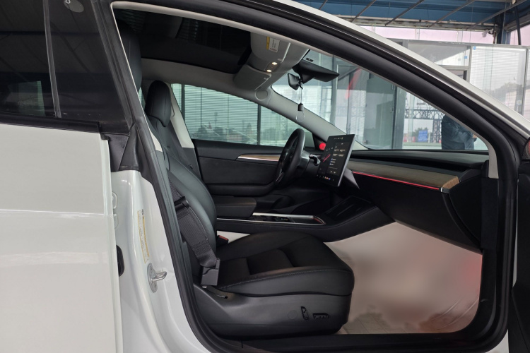 Tesla Model 3 2022 #19 Tesla Model 3 2022 car image #19