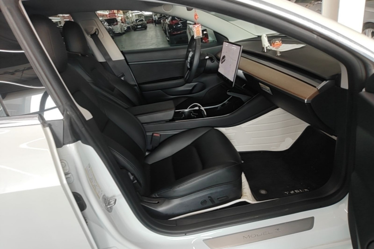 Tesla Model 3 2020 car image #24