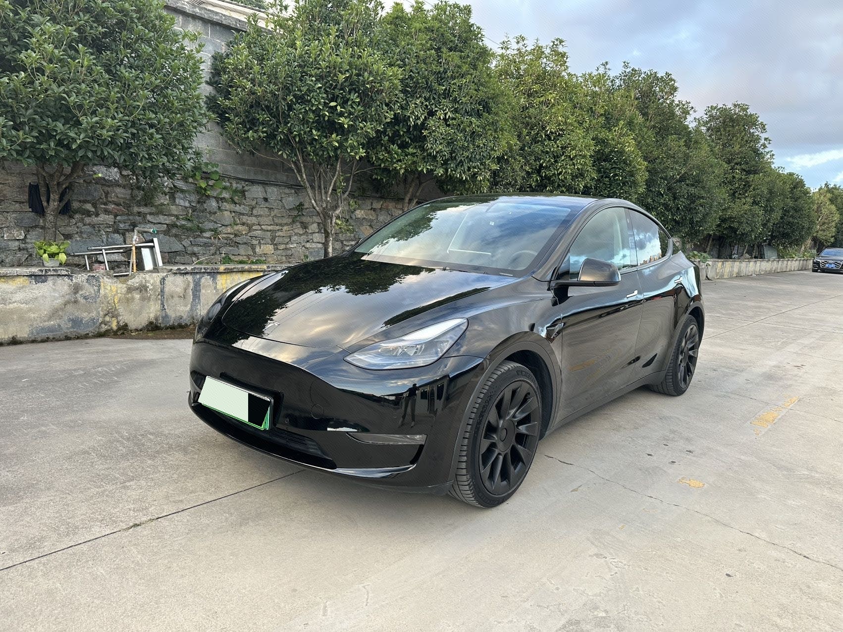 Tesla Model Y 2022 Tesla Model Y 2022 car image