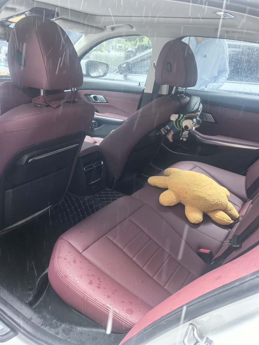 BMW 3 Series 2021 imagen de coche #6