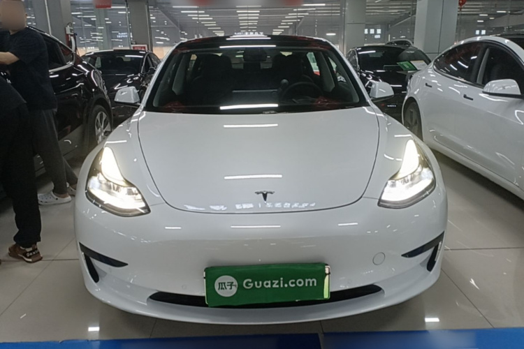Tesla Model 3 2021 #3 Tesla Model 3 2021 car image #3