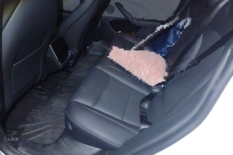 Tesla Model 3 2025 car image #19