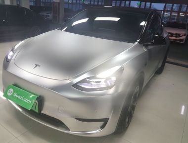 Tesla Model Y 2022 Tesla Model Y 2022 car image