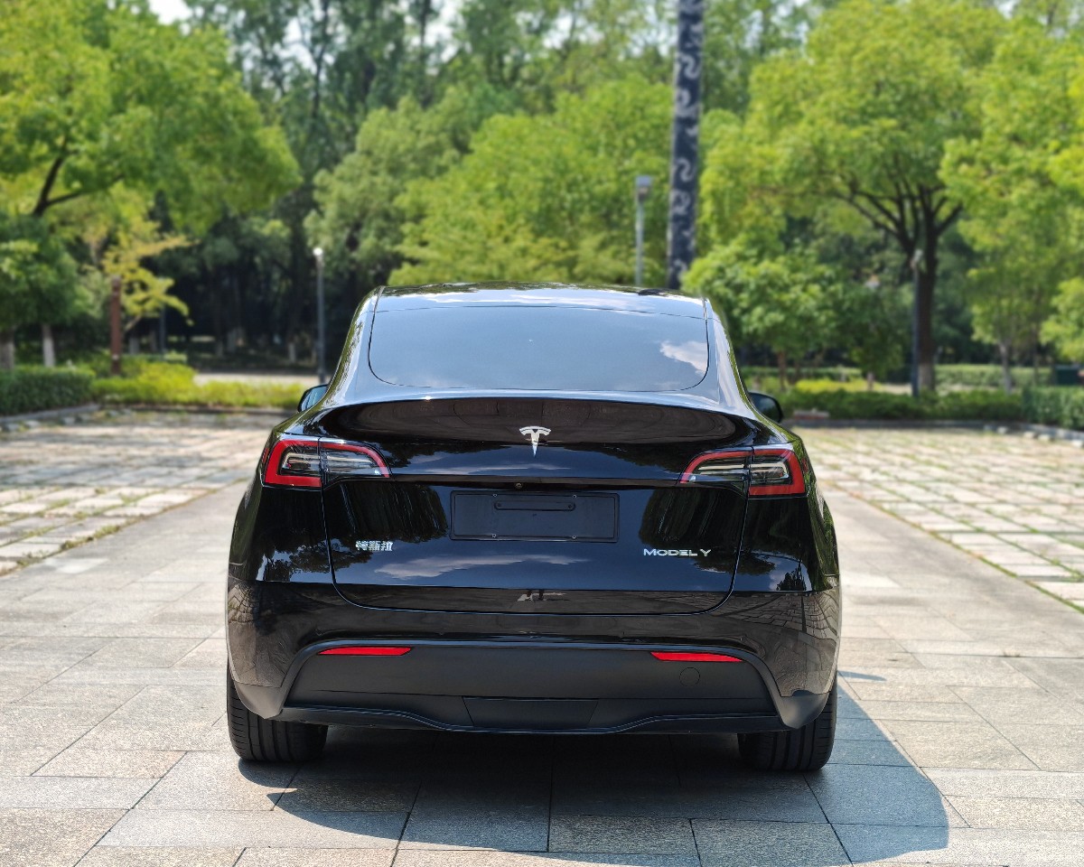 Tesla Model Y 2023 #8 Tesla Model Y 2023 car image #8