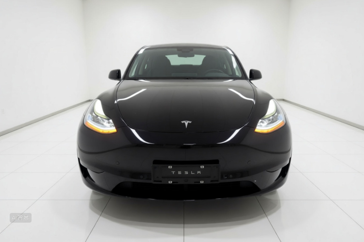 Tesla Model Y 2023 #3 Tesla Model Y 2023 car image #3