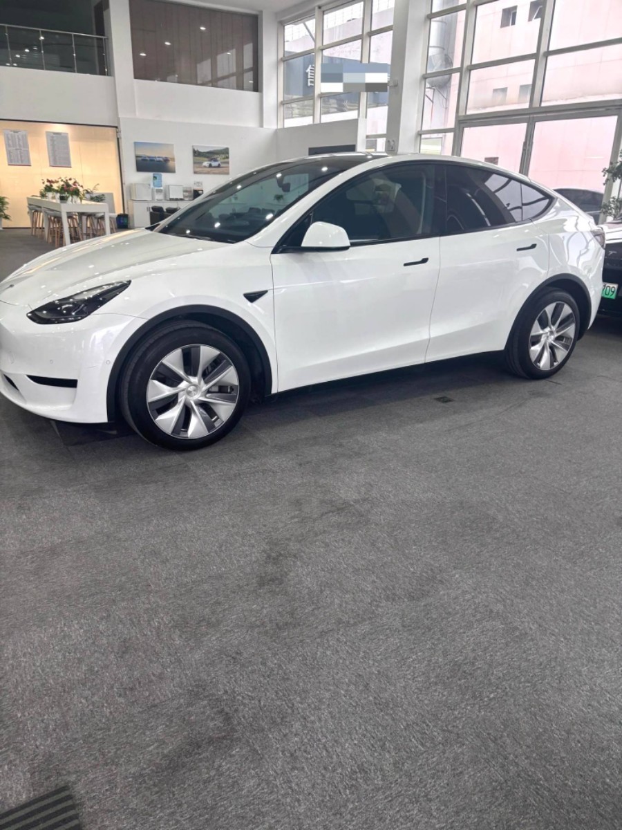 Tesla Model Y 2022 car image #6