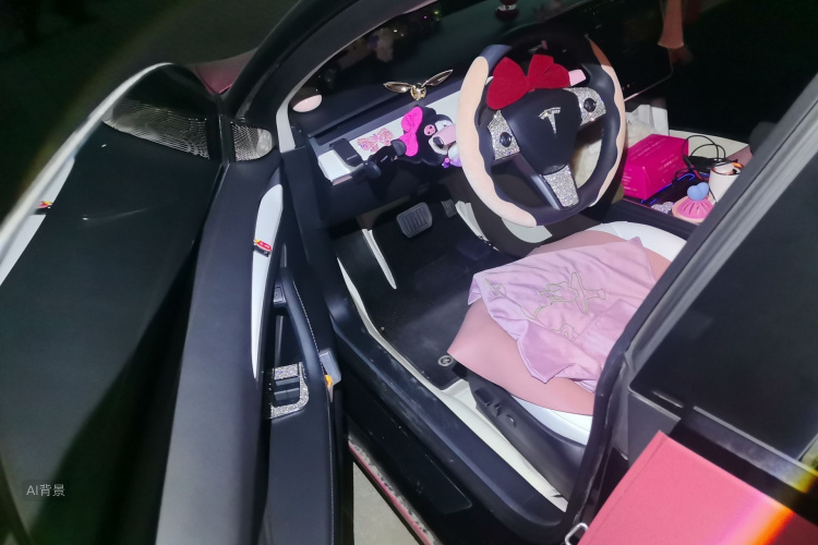 Tesla Model 3 2022 car image #18