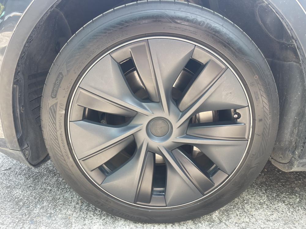 Tesla Model Y 2024 car image #8