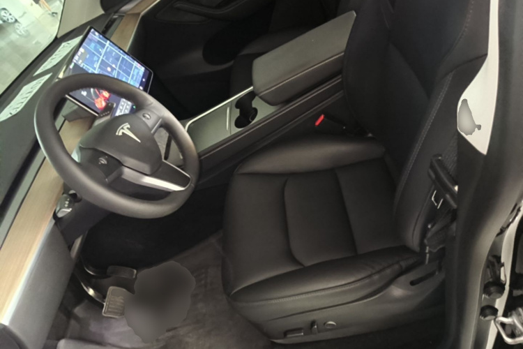 Tesla Model Y 2021 car image #15