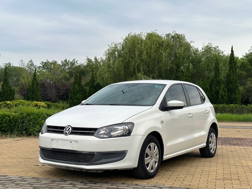 Volkswagen Polo 2013 car image 