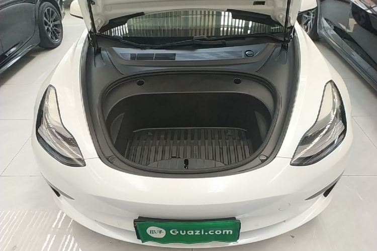 Tesla Model 3 2021 #20 Tesla Model 3 2021 car image #20